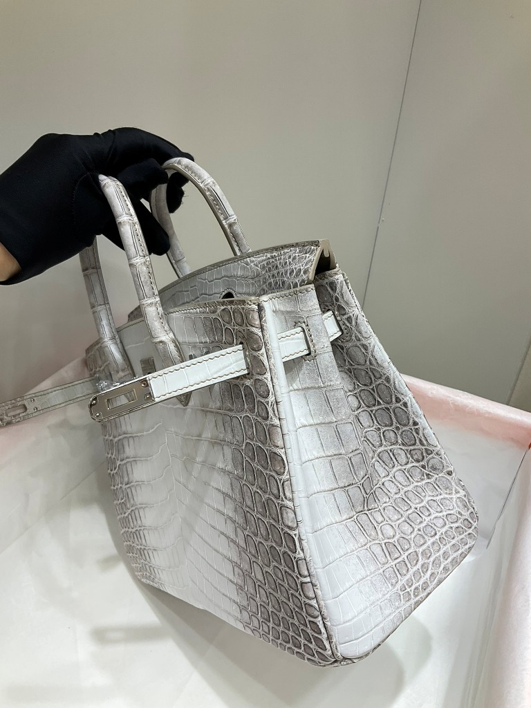 Birkin 25cm-Crocodile Leather Himalaya 01-001