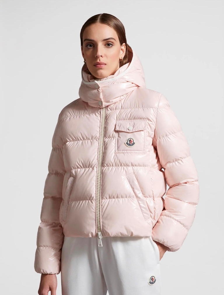 Moncler Andro Down Jacket(w)-E