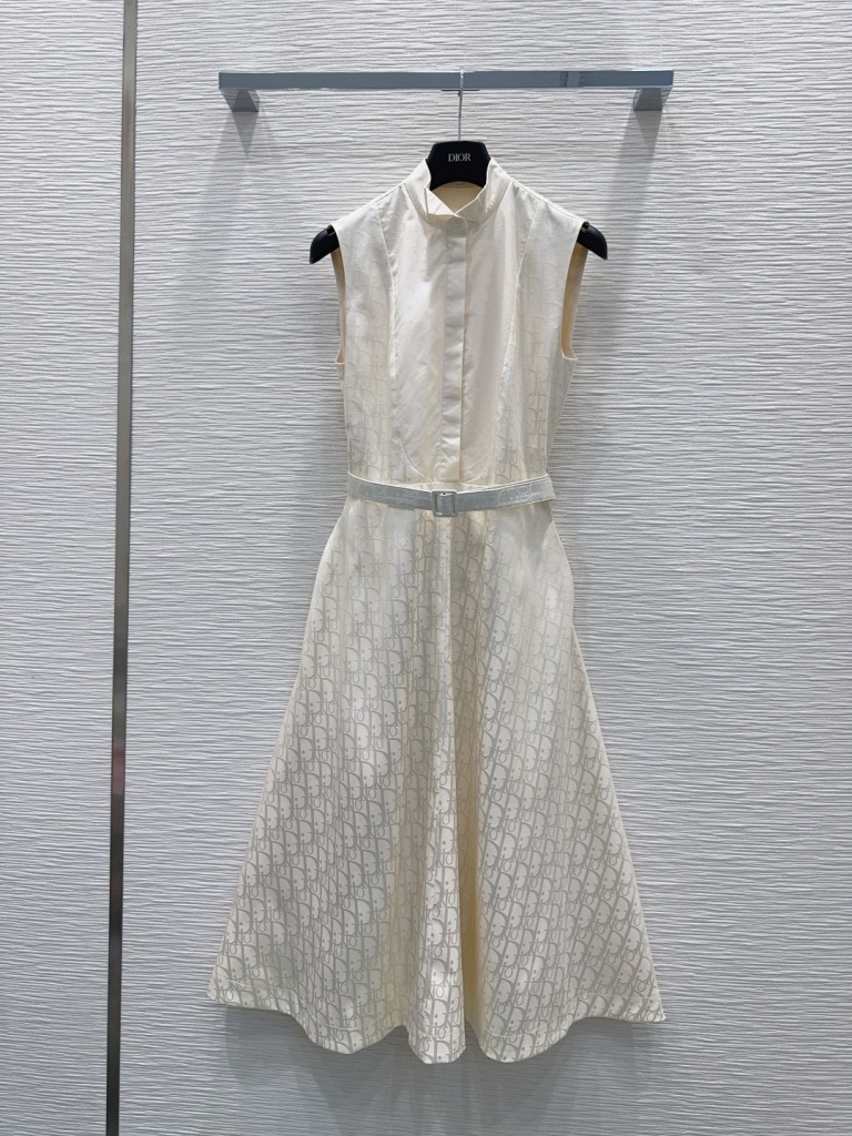 Dior Dress-Q