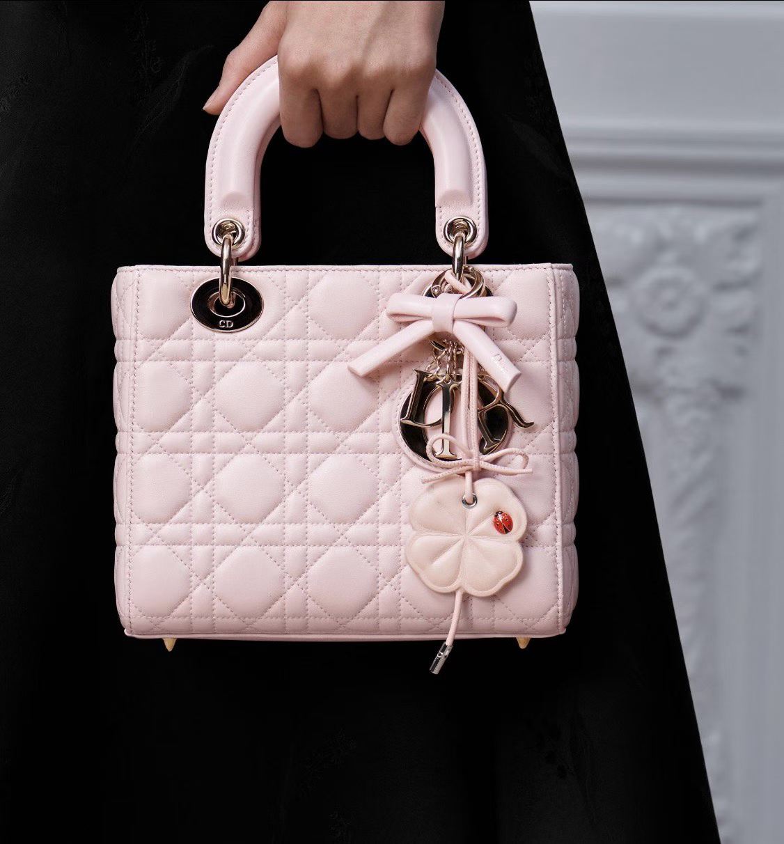 Lady Dior Bag|20cm-004
