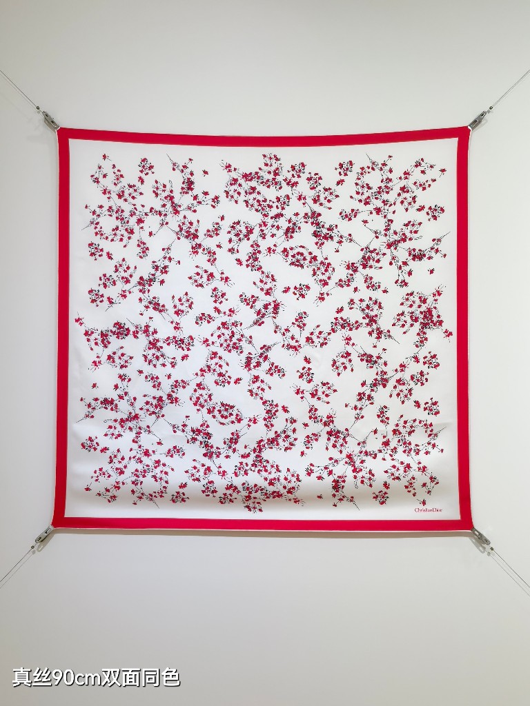 Dior Double-Sided Silk Scarf-101
