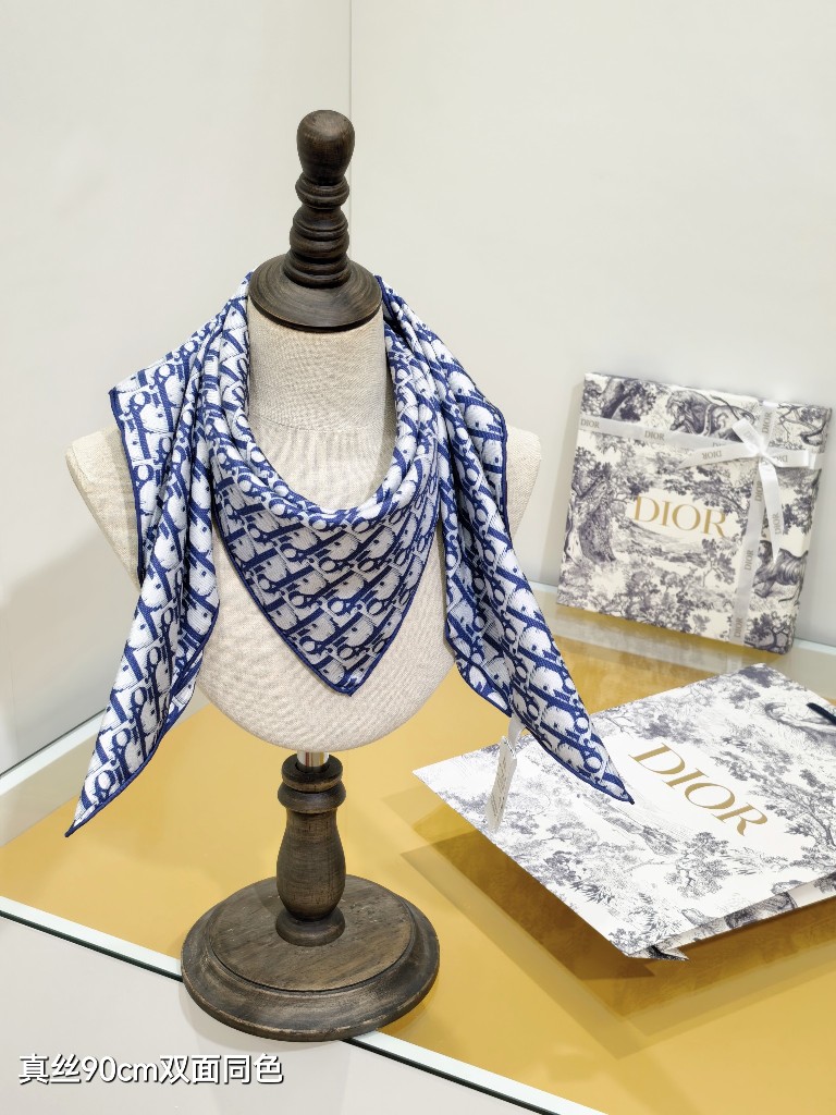 Dior Double-Sided Silk Scarf-100
