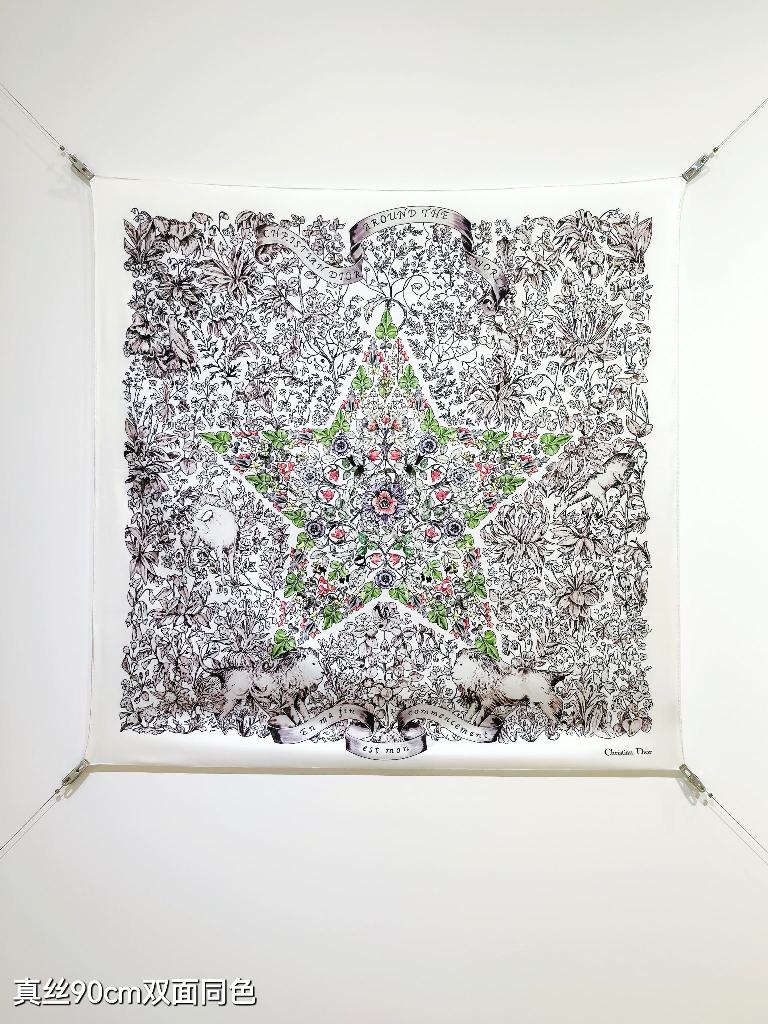 Dior Double-Sided Silk Scarf-042