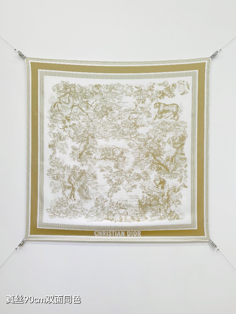 Dior Double-Sided Silk Scarf-033