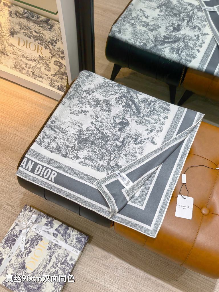 Dior Double-Sided Silk Scarf-028