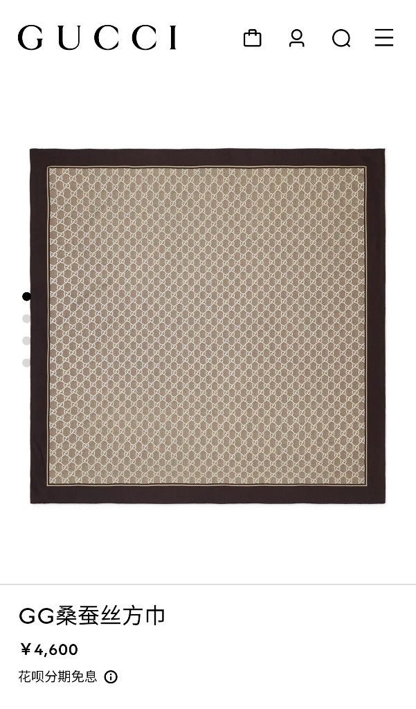 Gucci Double-Sided Silk Scarf-024