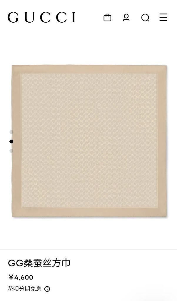 Gucci Double-Sided Silk Scarf-020