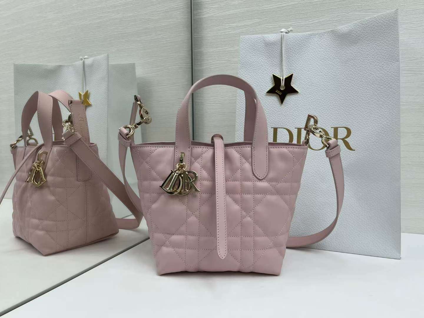 Dior Toujours Mini Bag|18.5cm-007