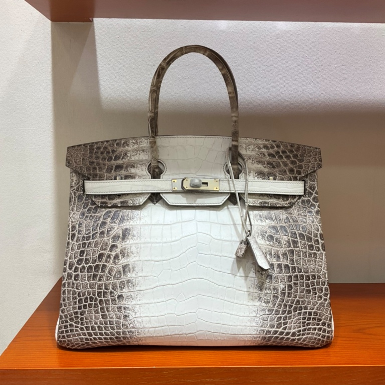 Birkin 35cm-Crocodile Leather Himalaya 01-001